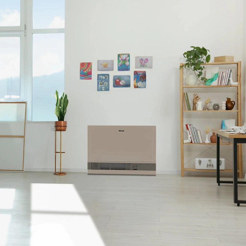 Rinnai EX38DTP 01